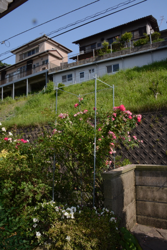 f:id:rotling:20140530154709j:image