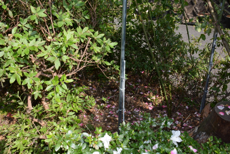 f:id:rotling:20140530154718j:image