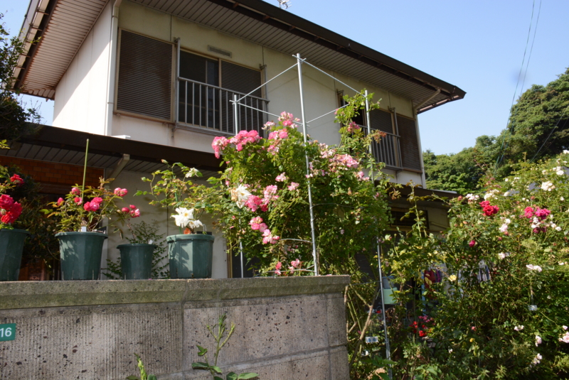f:id:rotling:20140530154730j:image