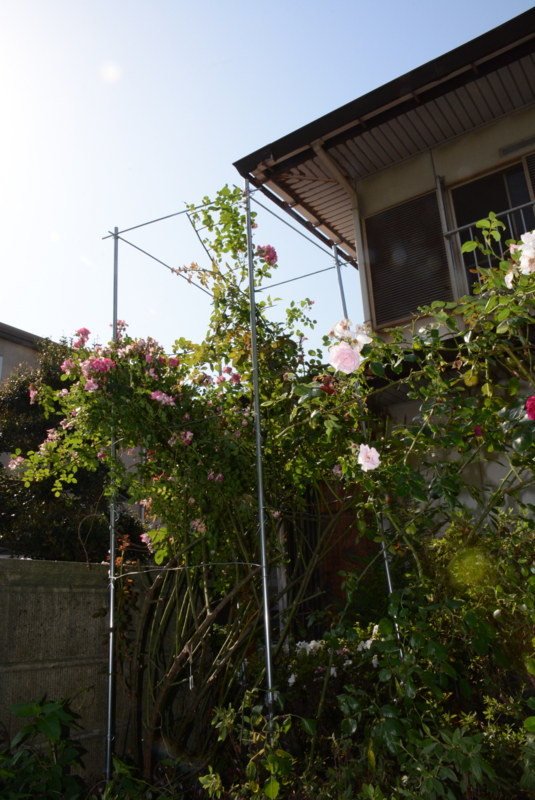 f:id:rotling:20140530154740j:image