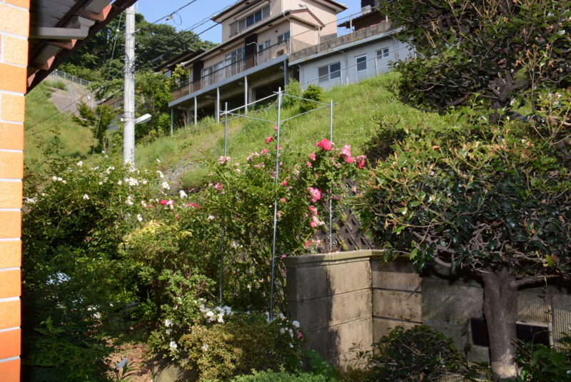 f:id:rotling:20140530154755j:image