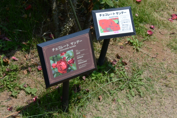 f:id:rotling:20140531120851j:image