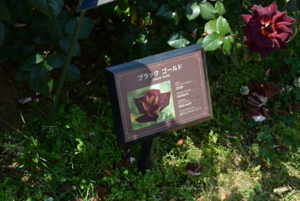 f:id:rotling:20140531121420j:image f:id:rotling:20140531121420j:image