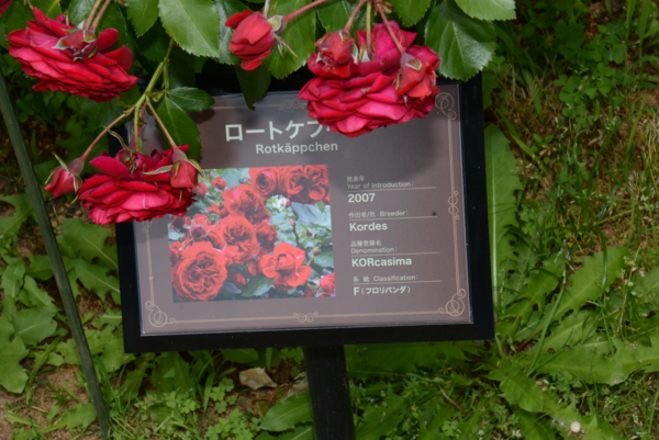 f:id:rotling:20140531122745j:image