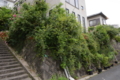 20140605131553