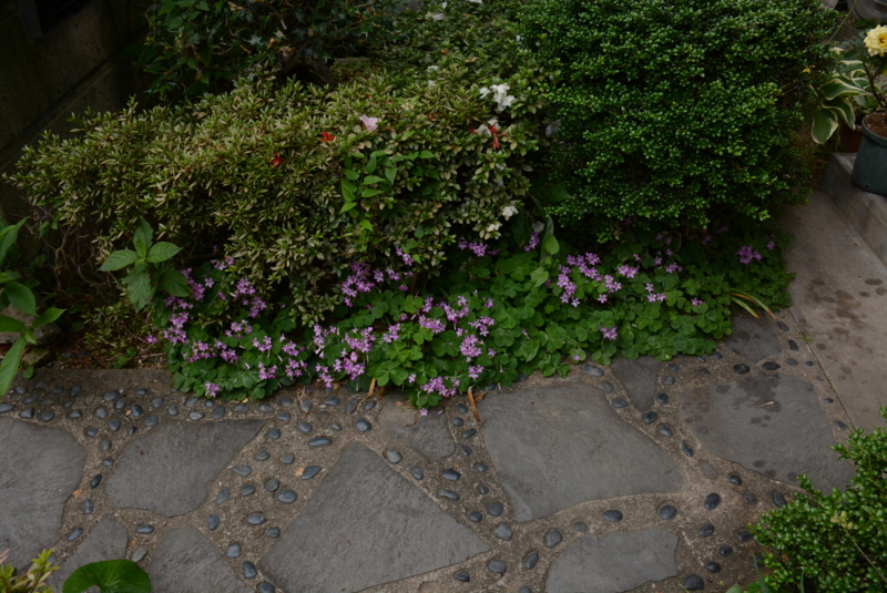 f:id:rotling:20140611105126j:image