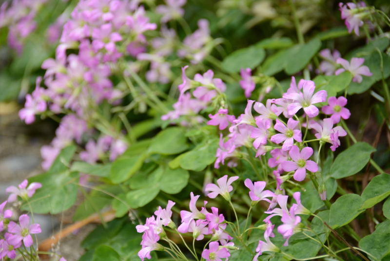 f:id:rotling:20140611105143j:image