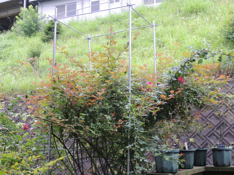 f:id:rotling:20140704104848j:image