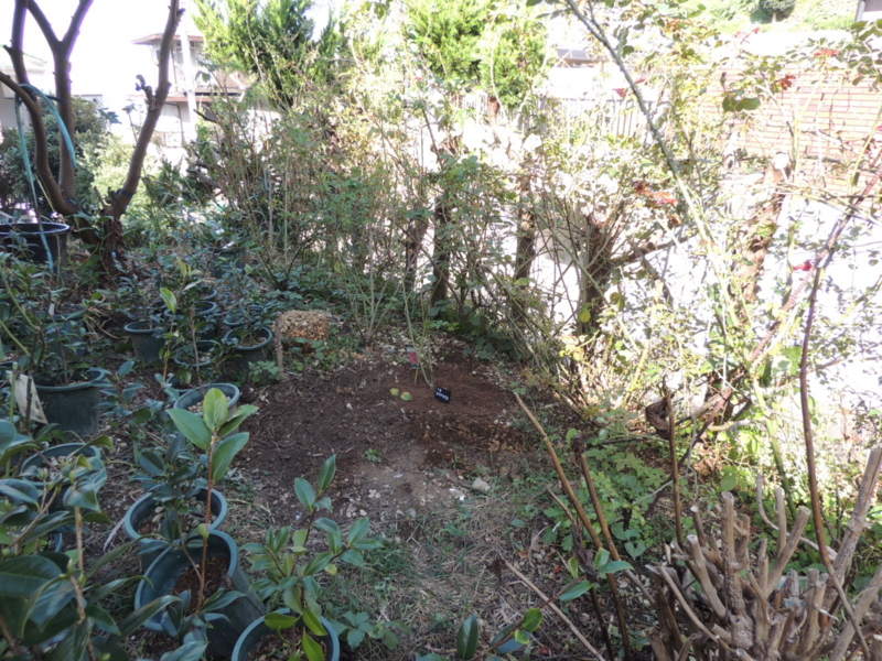 f:id:rotling:20141015142648j:image