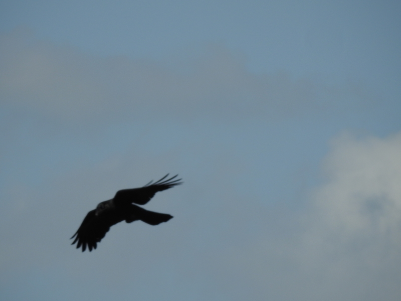 f:id:rotling:20150323133956j:image