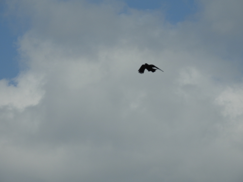 f:id:rotling:20150323134002j:image