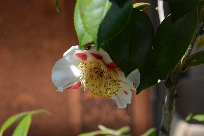 f:id:rotling:20150329122907j:image