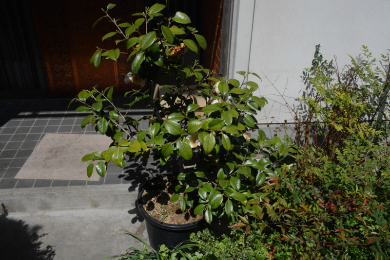 f:id:rotling:20150329122910j:image