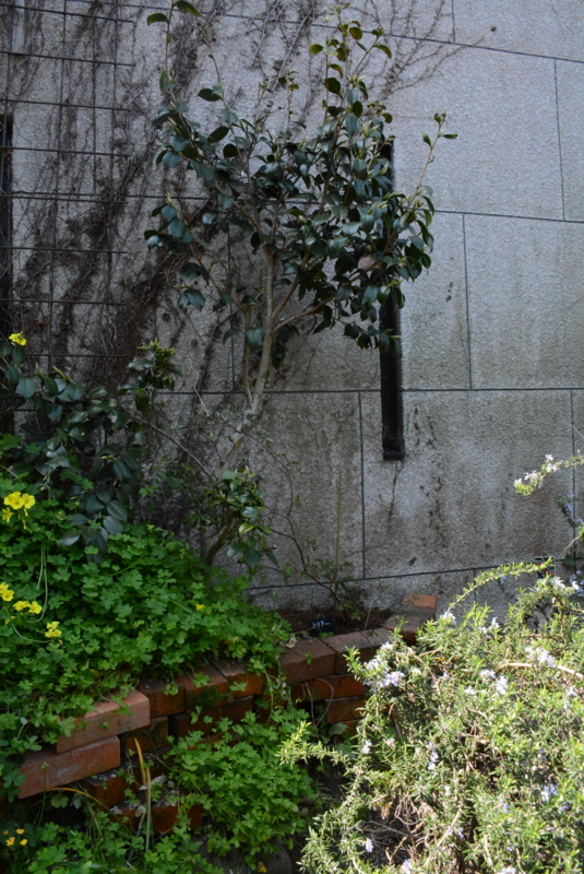 f:id:rotling:20150329123049j:image