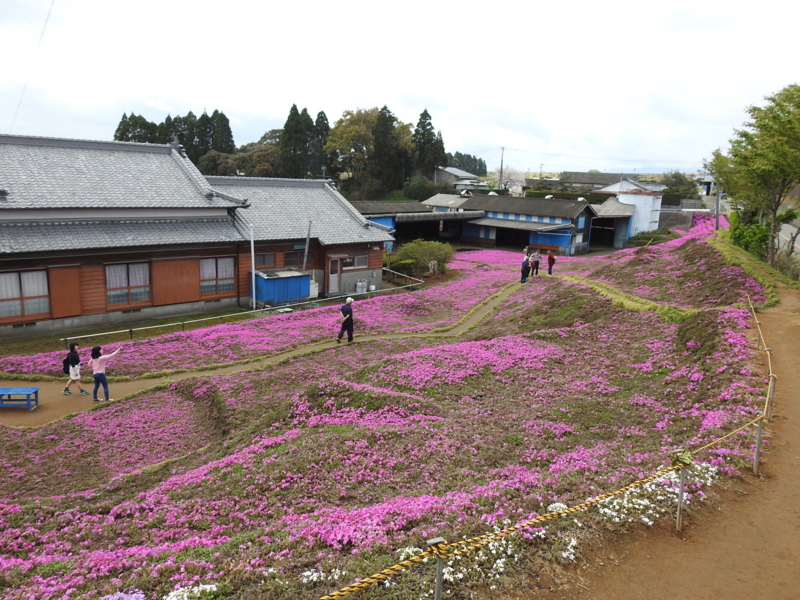 f:id:rotling:20150401121029j:image