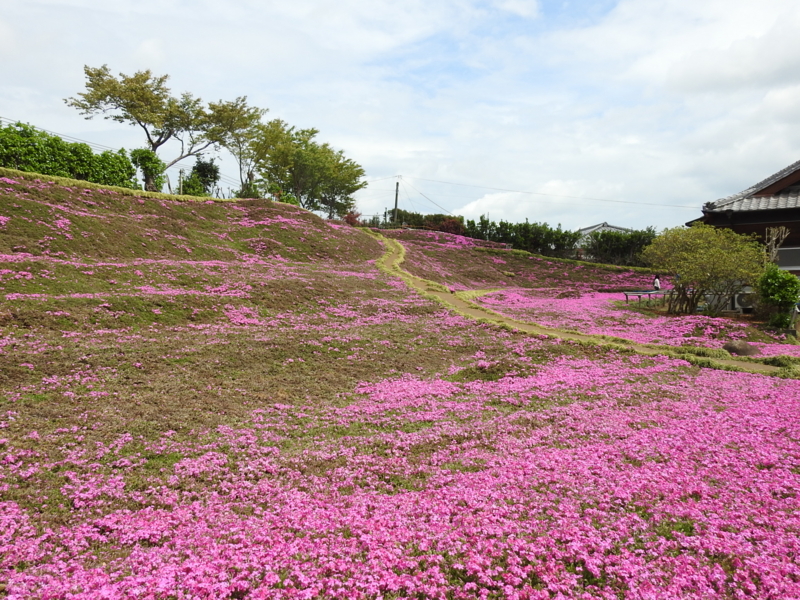 f:id:rotling:20150401121517j:image
