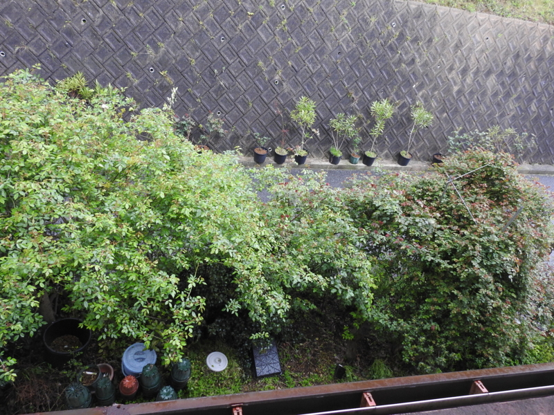 f:id:rotling:20150414145201j:image f:id:rotling:20150414145201j:image