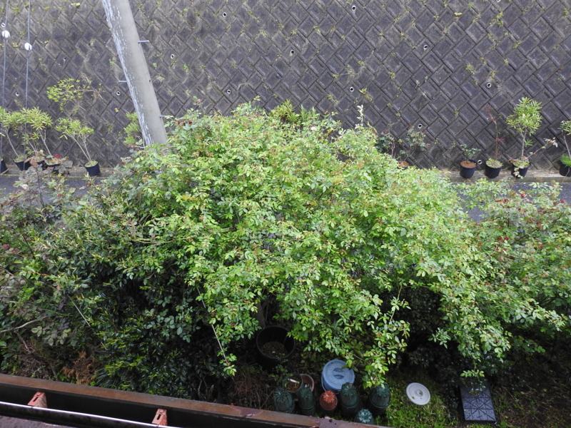 f:id:rotling:20150414145206j:image f:id:rotling:20150414145206j:image