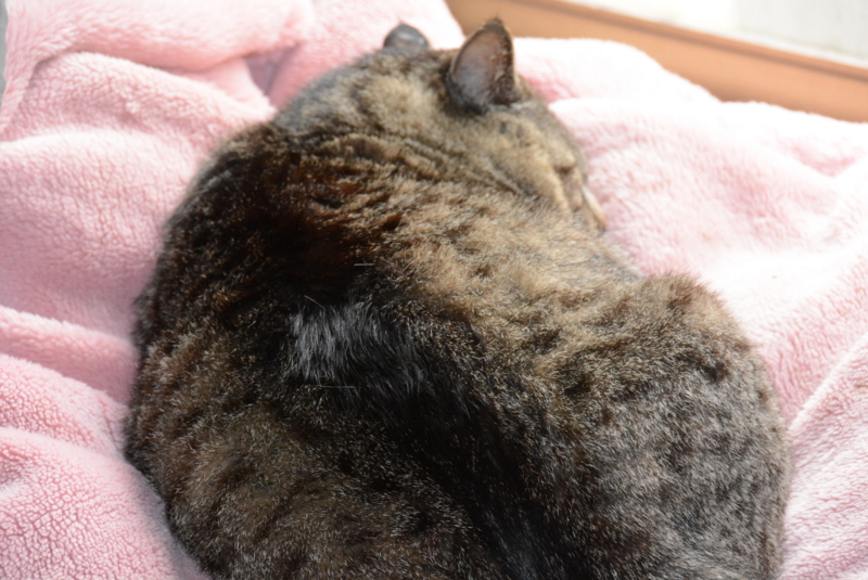 f:id:rotling:20150416090640j:image