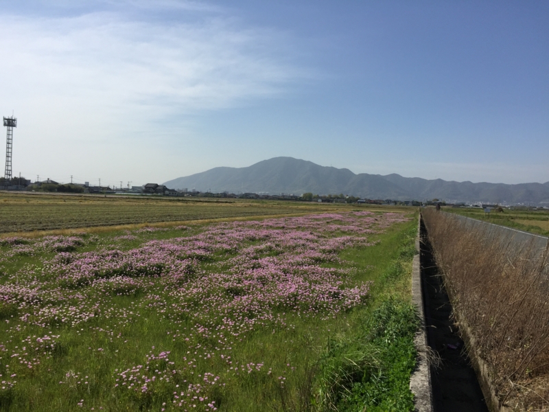 f:id:rotling:20150417152428j:image
