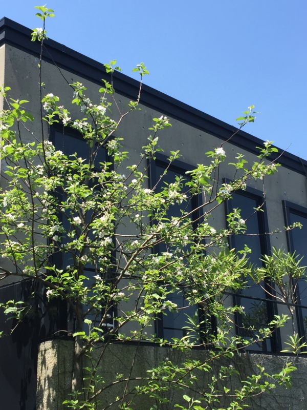 f:id:rotling:20150422115221j:image