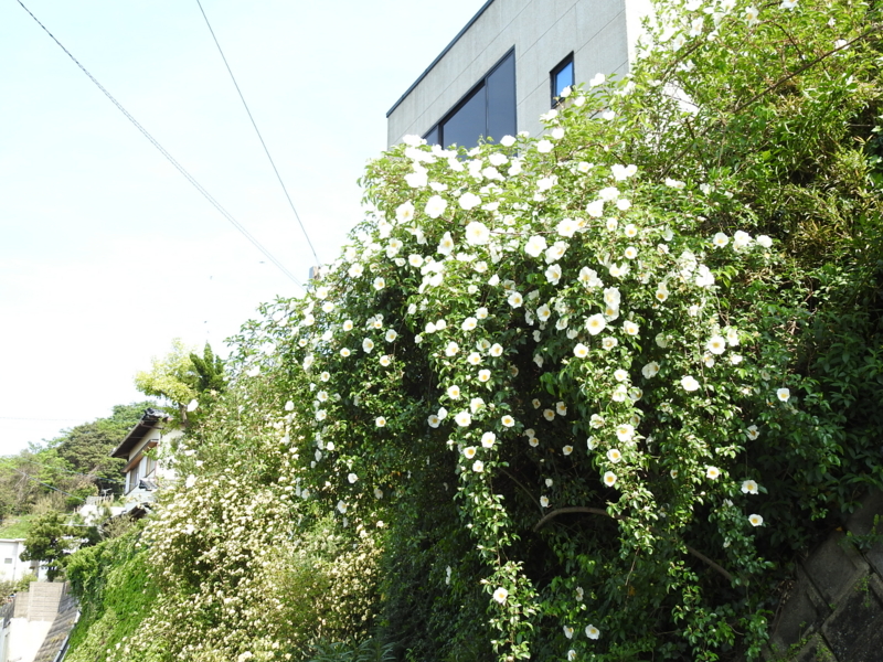 f:id:rotling:20150429145832j:image