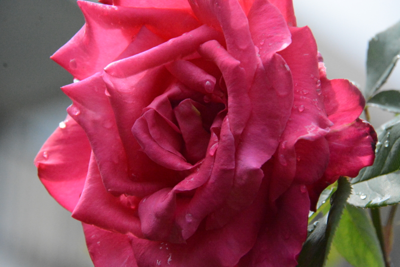 f:id:rotling:20150504113038j:image