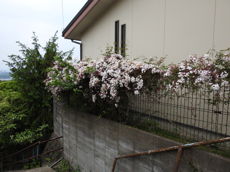 f:id:rotling:20150506173216j:image