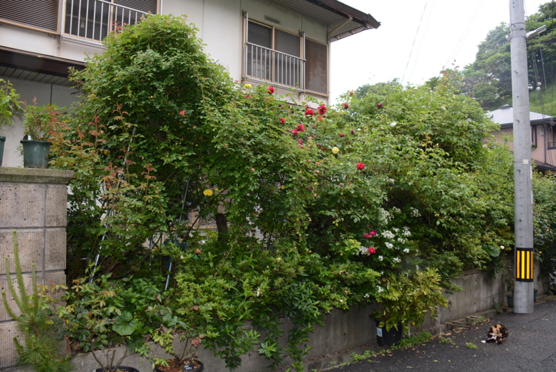 f:id:rotling:20150509073301j:image