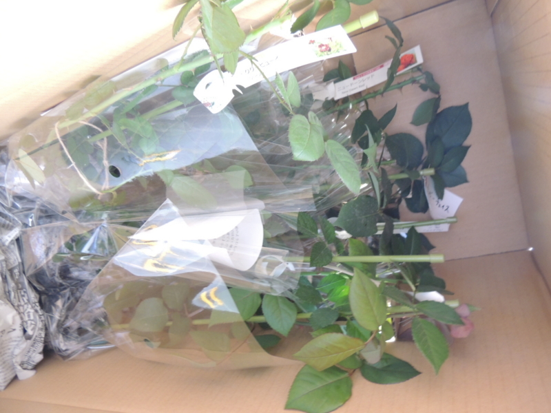 f:id:rotling:20150510093431j:image