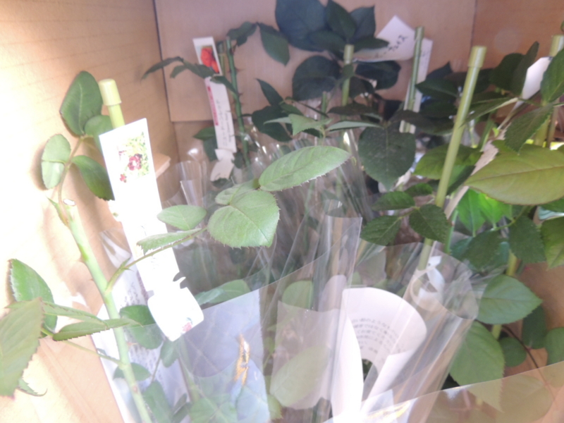 f:id:rotling:20150510093435j:image
