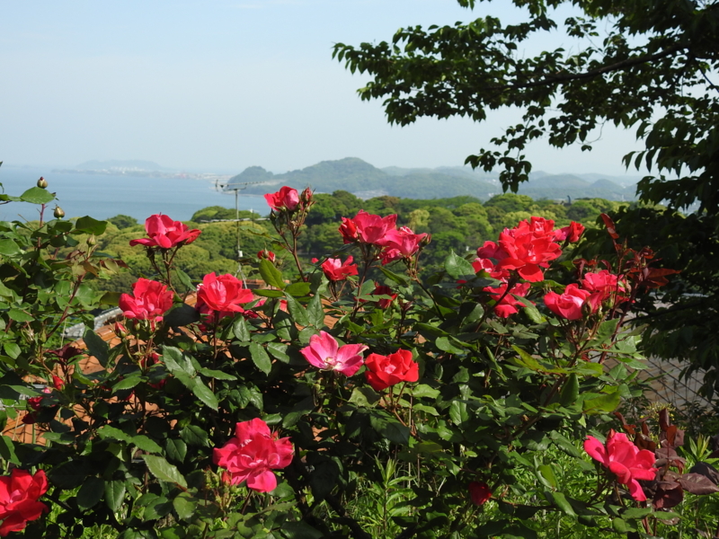 f:id:rotling:20150511085210j:image