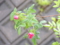 20150512085645