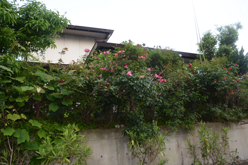 f:id:rotling:20150515062406j:image