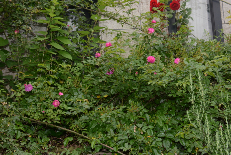 f:id:rotling:20150516131045j:image