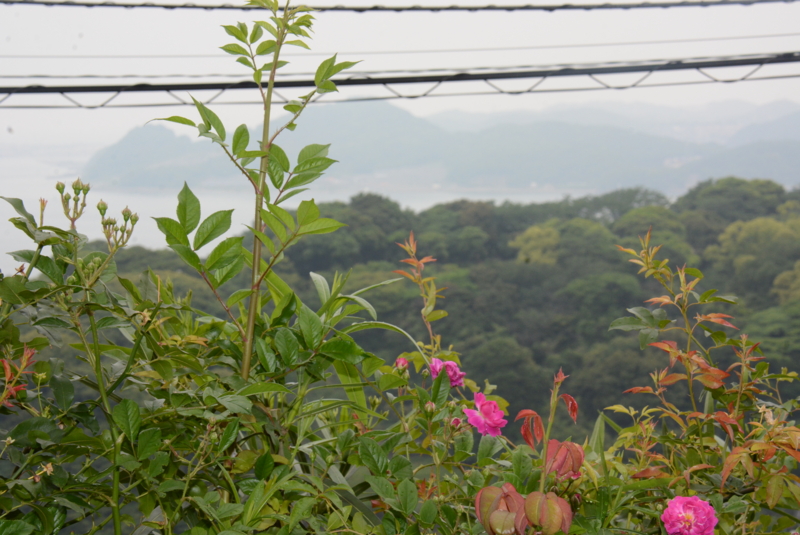 f:id:rotling:20150516133016j:image