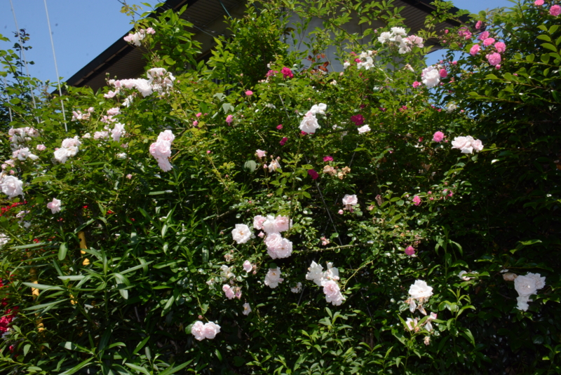 f:id:rotling:20150525104205j:image