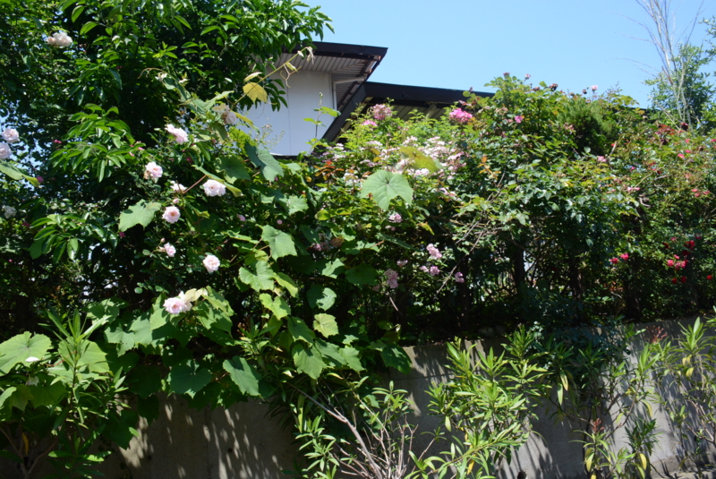f:id:rotling:20150525104247j:image
