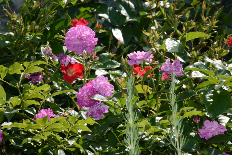f:id:rotling:20150526131854j:image