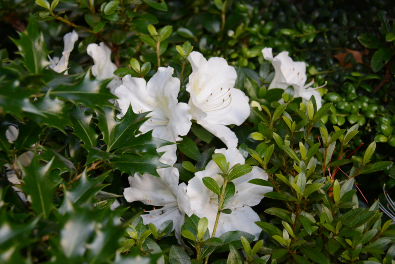 f:id:rotling:20150527070915j:image