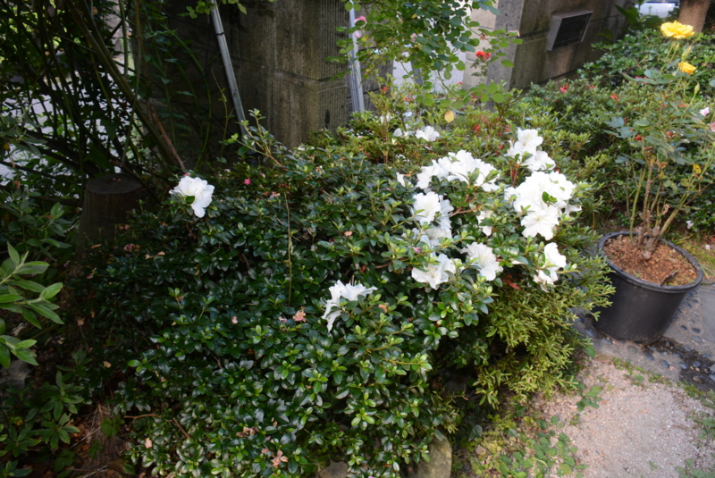f:id:rotling:20150527070942j:image
