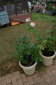 20150529085147