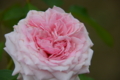 20150529085151