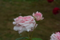 20150529085154