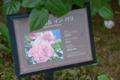 [京成バラ園 2015年5月][バラ]