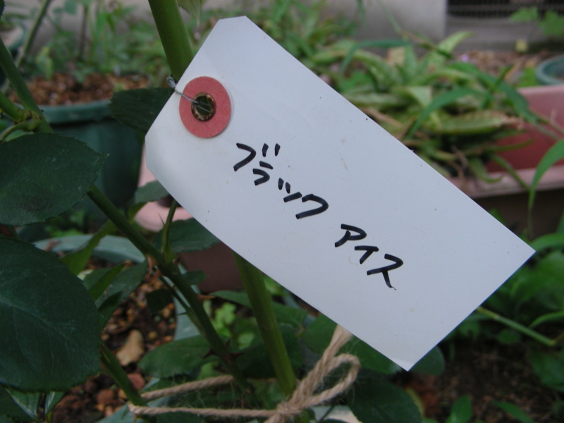 f:id:rotling:20150626180327j:image