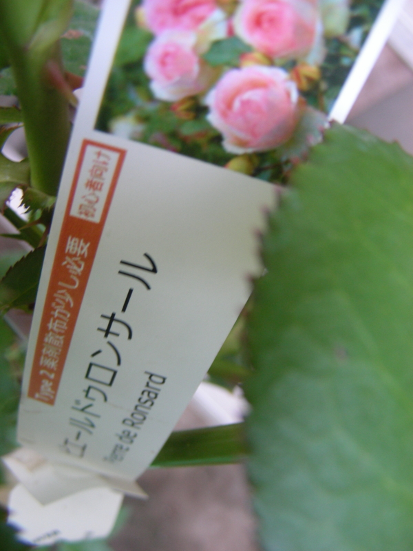 f:id:rotling:20150626180349j:image