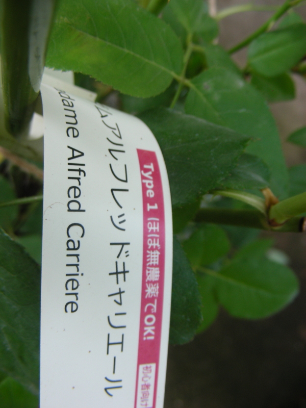 f:id:rotling:20150626180418j:image