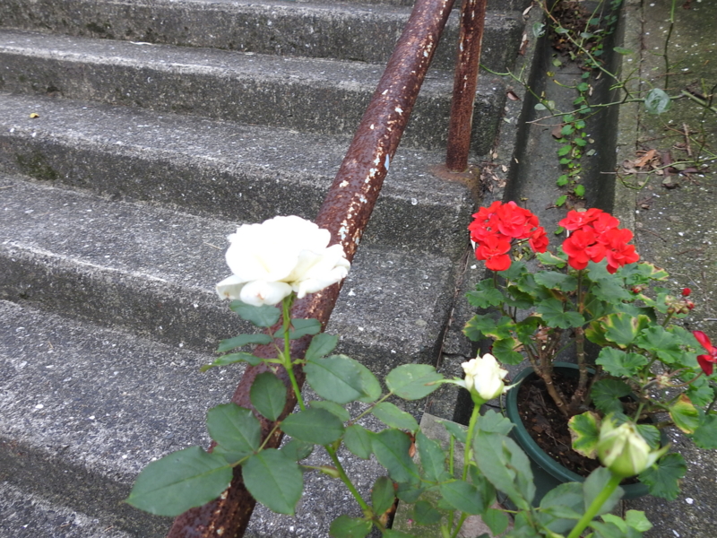 f:id:rotling:20150710181040j:image