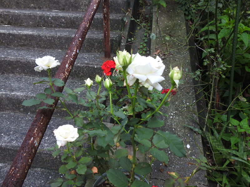 f:id:rotling:20150710181043j:image